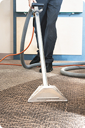 Cleaning Carpet in Office