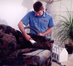 Professional Cleaning of Sofa